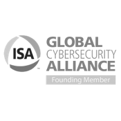 global cybersecurity icon